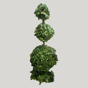 ͼʦģֲģȫ20221126