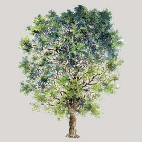 ͼʦģֲģȫ20222595