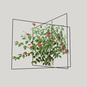 ͼʦģֲģȫ20221549