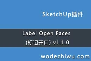 Label Open Faces (ǿ) v1.1.0