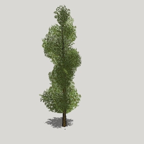 ͼʦģֲģȫ20221295