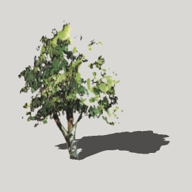 ͼʦģֲģȫ20222474