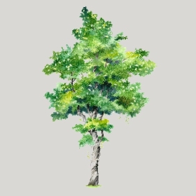 ͼʦģֲģȫ20222486