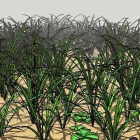 ͼʦģֲģȫ20222722