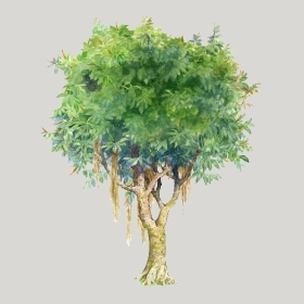 ͼʦģֲģȫ20221306