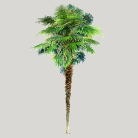 ͼʦģֲģȫ20222361