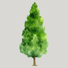 ͼʦģֲģȫ20221751