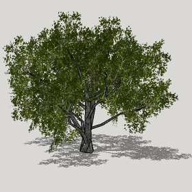 ͼʦģֲģȫ20221281