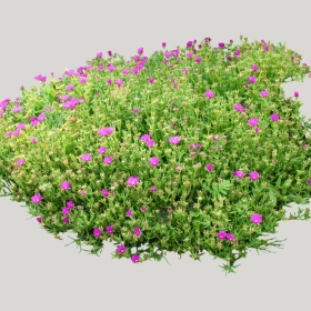 ͼʦģֲģȫ20221576