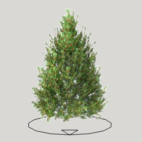 ͼʦģֲģȫ20221679