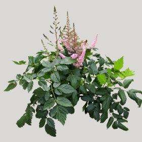 ͼʦģֲģȫ20221160