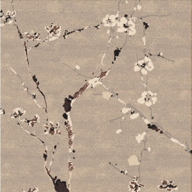 ̺ר307