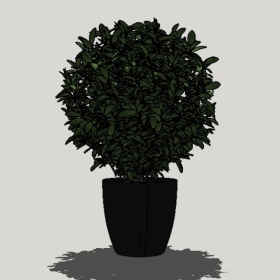 ����ֲ��_Sketchup��ͼ��ʦģ��Enscape����22020426490