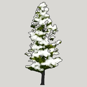 ͼʦģֲģȫ20222650