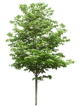 720úTH_113AP