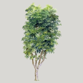 ͼʦģֲģȫ20222282