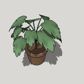 ͼʦģֲģȫ20222546