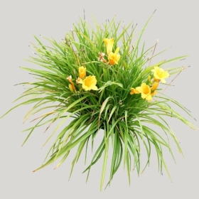 ͼʦģֲģȫ20221029