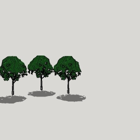 ͼʦģֲģȫ20221676