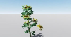 Lumion գѧRudbeckia laciniata L.