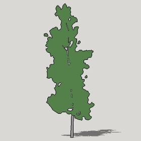 ͼʦģֲTTrees2Dֱģ024