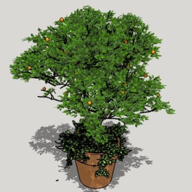 ͼʦSketchupƷģ20221125ϴ085