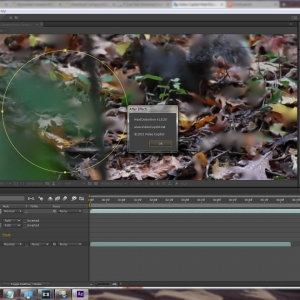 Video Copilot Heat Distortion for mac 1.0.30 – AE插件 最新绿化版