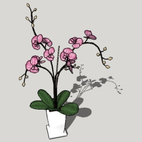 ͼʦSketchupƷģ20221125ϴ065