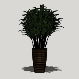 ����ֲ��_Sketchup��ͼ��ʦģ��Enscape����22020426535