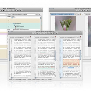 Araxis Merge 2016.4750 Mavericks Edition 文件比较合并同步工具