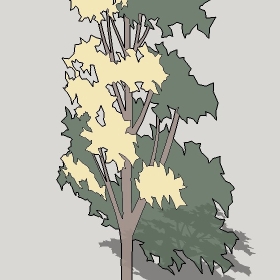 ͼʦģֲTTrees2Dֱģ144