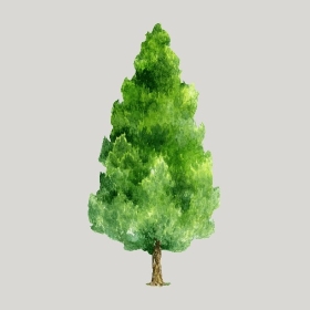 ͼʦģֲģȫ20221753