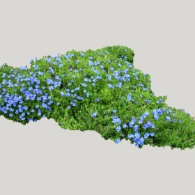 ͼʦģֲģȫ20221362