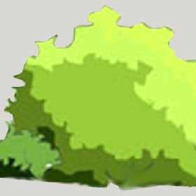 ͼʦģֲģȫ20222466