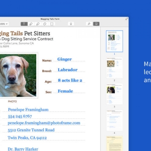 Notability for mac 1.6 – 使笔记和注释容易 最新绿化 免费下载