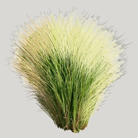 ͼʦģֲģȫ20221875