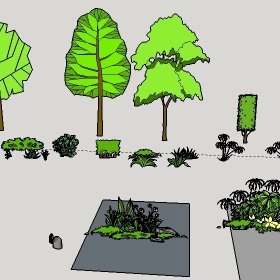 ͼʦģֲģȫ20222640