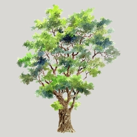 ͼʦģֲģȫ20222560