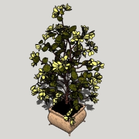 ͼʦSketchupƷģ20221125ϴ100