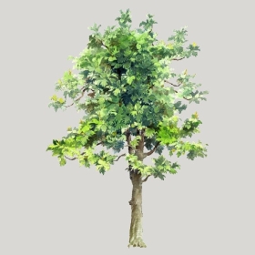 ͼʦģֲģȫ20222586