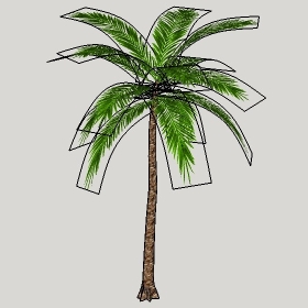 ͼʦģֲģȫ20222723