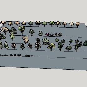 ͼʦģֲģȫ20222554