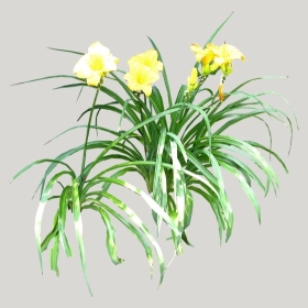 ͼʦģֲģȫ20221013