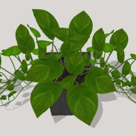 ͼʦSketchupƷģ20221125ϴ037