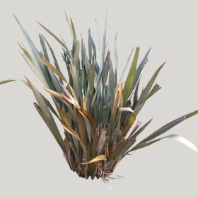 ͼʦģֲģȫ20221992