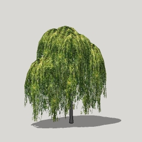 ͼʦģֲģȫ20221226