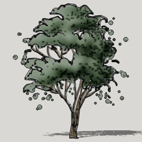 ͼʦģֲTTrees2Dֱģ070