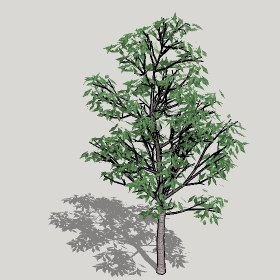 ͼʦģֲģȫ20221192