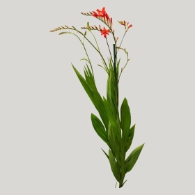 ͼʦģֲģȫ20221942