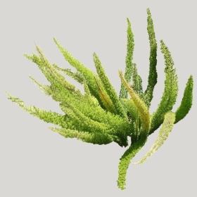 ͼʦģֲģȫ20221379